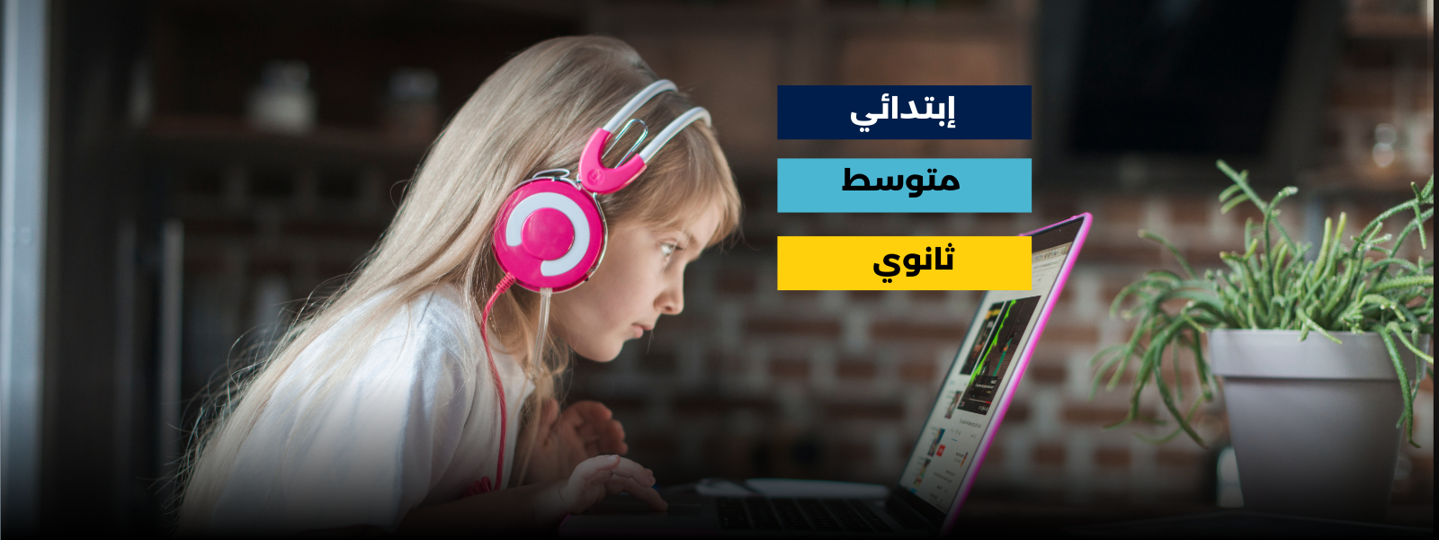أنواع الحصص